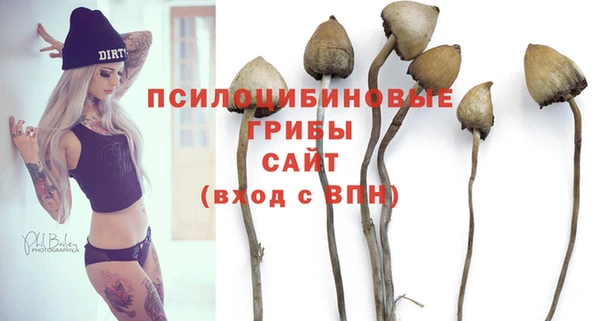 мескалин Баксан
