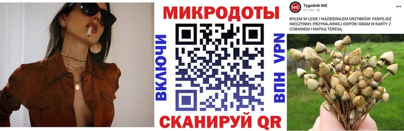 мориарти наркотические препараты  цены наркотик  Теберда  Галлюциногенные грибы мухоморы 